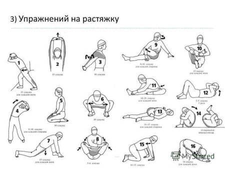 Упражнения на гибкость и растяжку