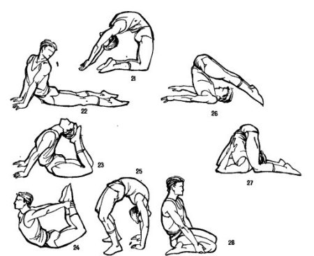 Стретчинг упражнения для начинающих