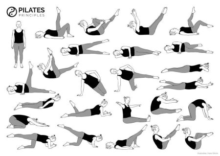 Пилатес комплекс упражнений для начинающих