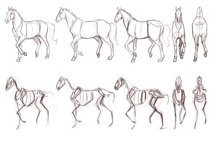Лошадь сбоку референс