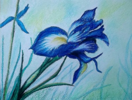 Рисование пастелью для начинающих