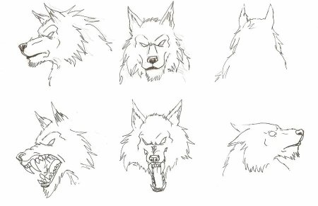 Волк для рисования