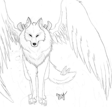 Рисунки Волков карандашом для начинающих