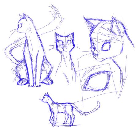 Коты Воители скетчи анатомия
