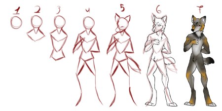 Анатомия фурри для рисования