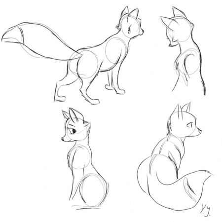 Лиса туториал