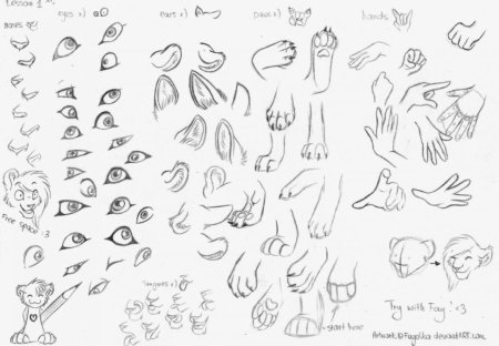 Туториалы по рисованию фурри