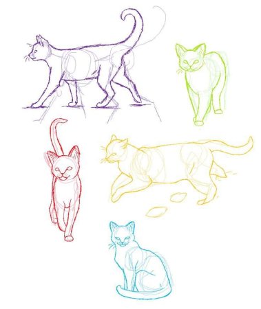 Кошка сбоку референс
