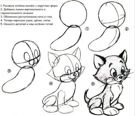 Поэтапное рисование кота для детей