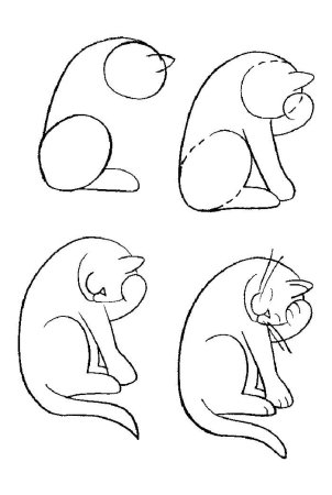 Поэтапное рисование животных