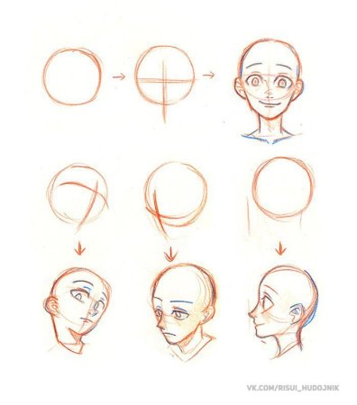 Анатомия лица для рисования
