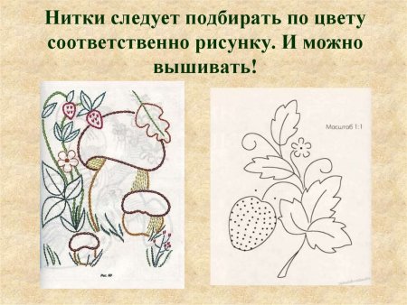 Изображение для вышивки тамбурным швом