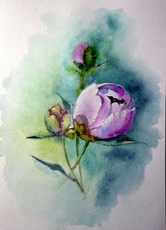 Тюльпан акварель Триумф