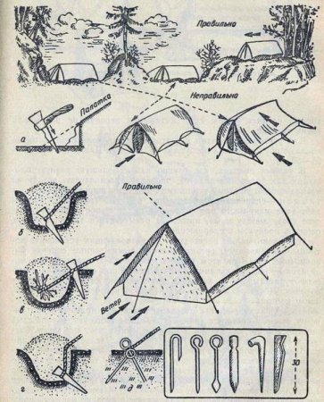 Силки капканы ловушки