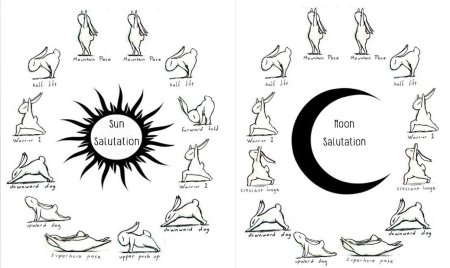 Йога Приветствие Луне для начинающих