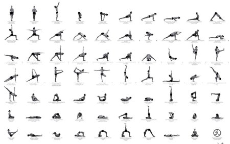 Последовательность асан в хатха йоге для начинающих