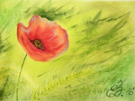 Маки пастелью с Еленой Касьяненко