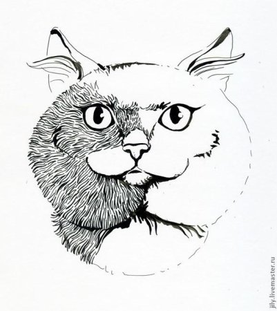 Рисунки тушью