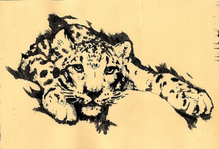 Тушь для рисования