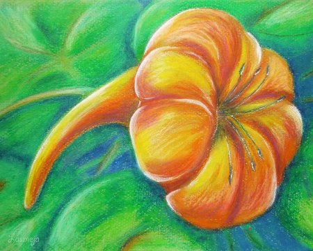 Цветы пастельными мелками