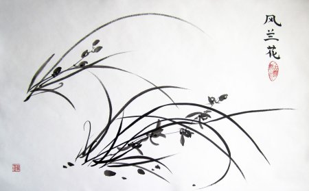 Гохуа орхидеи