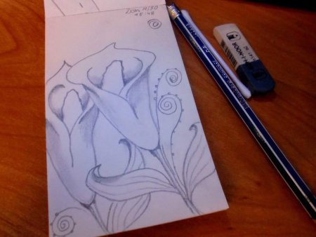 Интересные рисунки для начинающих