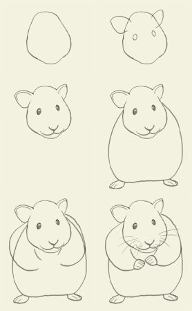 Хомяк рисунок карандашом