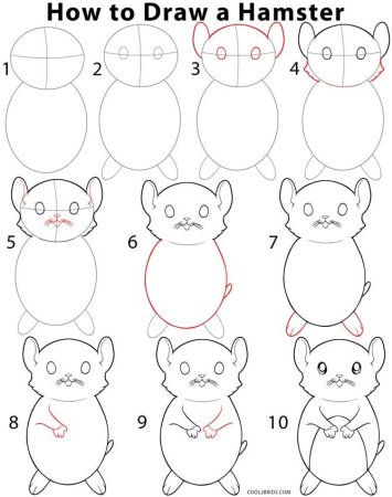 Хомяк рисунок для срисовки легкие