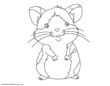 Поэтапное рисование хомяка