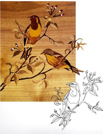 Маркетри птицы