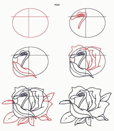 Урок рисования розы карандашом