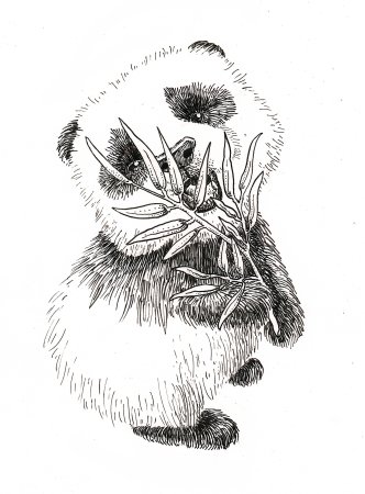 Рисунки тушью
