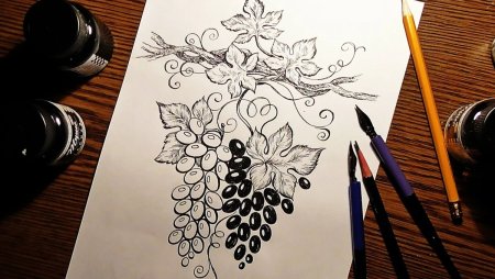 Перо для рисования тушью
