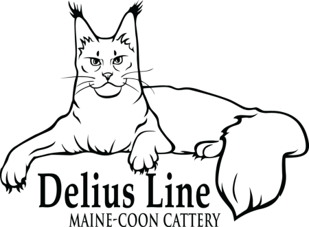 Delius line питомник Мейн кунов