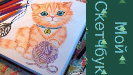 Скетчбук для рисования с котиками
