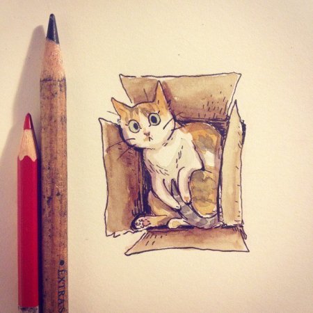 Скетчбук с котом