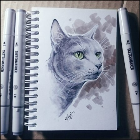 Котики для рисования в скетчбуке
