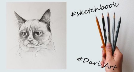 Идеи для рисунков кот