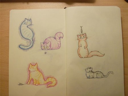 Кот для скетчбука