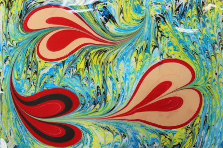 Медуза эбру