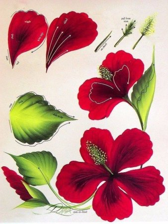 Жостовская роспись техника двойного мазка