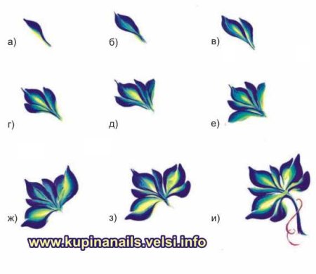 Тренировочные карты для росписи ногтей китайская роспись