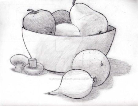 Натюрморт рисунок карандашом