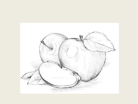 Натюрморт карандашом