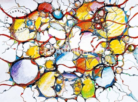 Нейрографическая линия Павел Пискарев