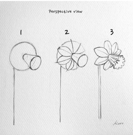 Этапы рисования цветка