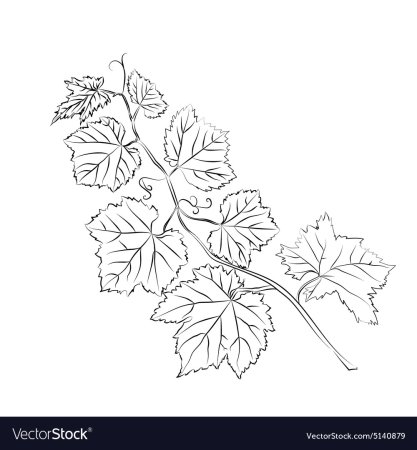 Виноградный лист трафарет