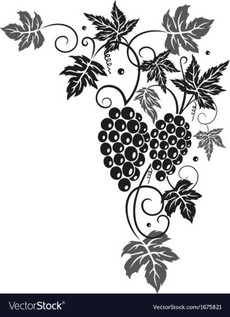 Виноградная лоза вектор вектор