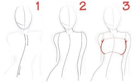 Как нарисовать тело человека поэтапно