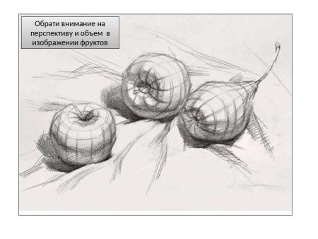 Конструктивное построение фруктов